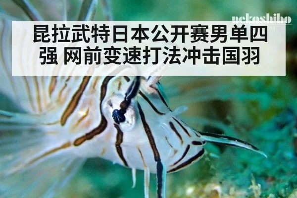 昆拉武特日本公开赛男单四强 网前变速打法冲击国羽